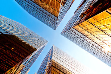 Glass commercial skyscrapers in perspective