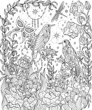 Birds and flowers coloring page. Birds of paradise vector illustration.