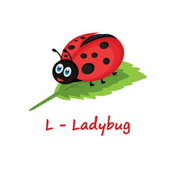 Isolated animal alphabet for the kids, L for Ladybug