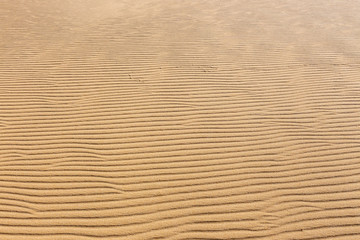 Lines in the sand of a beach, close up