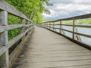 Obraz premium wooden path by the lake
