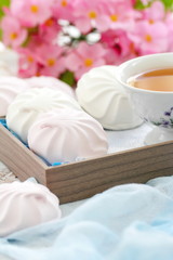 Pink and white zephyr or marshmallow