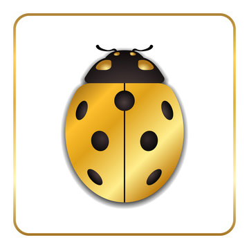 Ladybug gold insect small icon. Golden metal lady bug animal sign, isolated on white background. 3d volume bright design. Cute shiny jewelry ladybird. Lady bird closeup beetle. Vector illustration