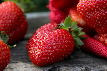 Fresh strawberries. Summer berries