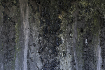 Wall of concrete