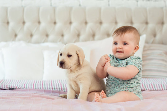 Little baby girl sit on the bed with labrador puppy