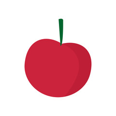 cherry with a fruit stem ripe fresh vector illustration