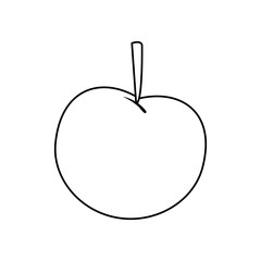 cherry with a fruit stem ripe fresh vector illustration