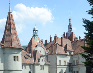 Obraz premium Castel in transkarpatien