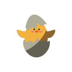 cute chicken in a eggshells icon over white background. colorful design. vector illustration
