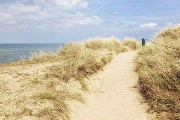Path in the dunes of Sylt