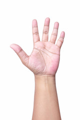 Man raise their hand, isolated on a white background