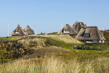Thatched-roof summer houses at Hörnum, Sylt - obrazy, fototapety, plakaty