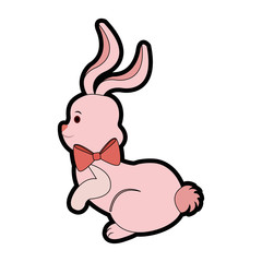 cute bunny with decorative bow, icon over white background. happy easter concept. colorful design. vector illustration
