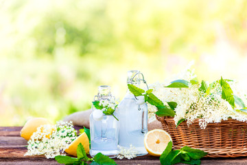 Holunder Detox Getränk - Powerdrink - Erfrischung im Sommer - Infused Water - Sambucus