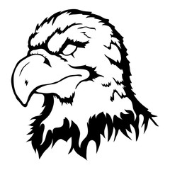 Isolated illustration of an eagle head