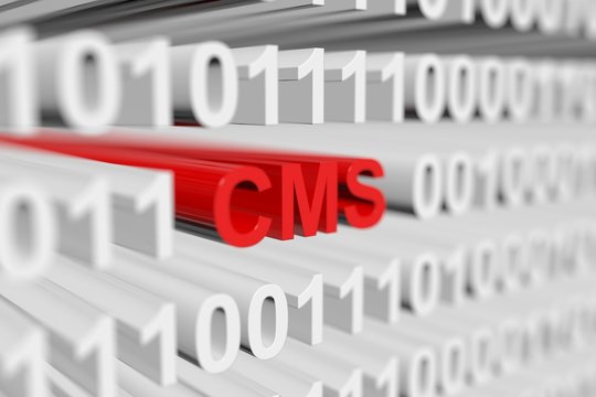 CMS in the form of a binary code with blurred background 3D illustration