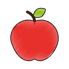 apple fresh isolated icon vector illustration design