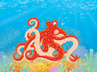 red spotted octopus on a seabed with corals