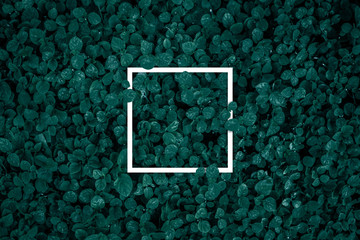 Square frame, Creative layout made of tropical flowers and leaves with paper card note. Flat lay. Blank for advertising card or invitation. Nature concept.