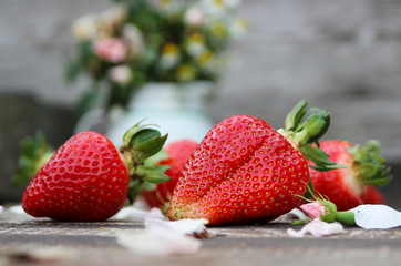 Fresh strawberries. Summer berries