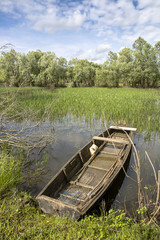 old vintage wooden rowing boat on a lake, Croatia