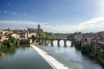 albi