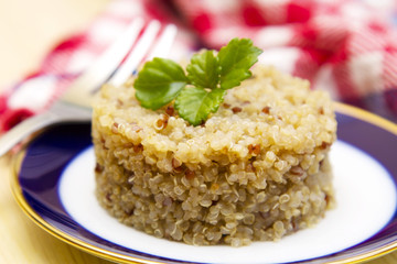 dish of quinoa cooked with pictures tablecloth