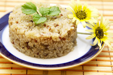 Whole spring quinoa dish