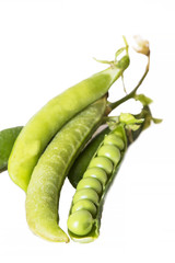 Peas isolated on white