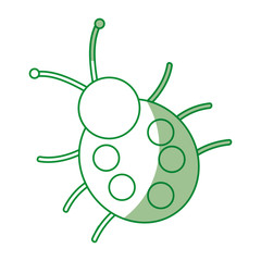 cute ladybug isolated icon vector illustration design