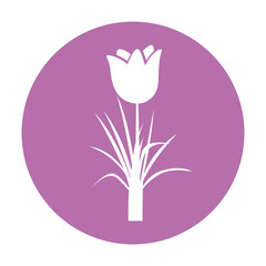 cute rose isolated icon vector illustration design