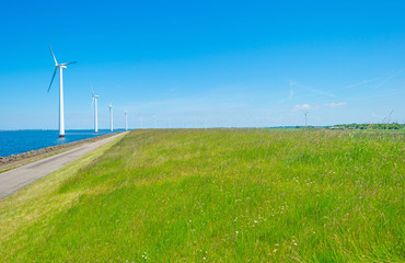 Fototapeta na wymiar Wind farm along a coastline in sunlight in spring