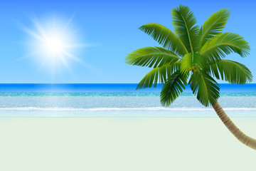 Empty white tropical beach with a palm (a coconut tree). Realistic vector illustration