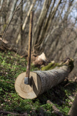 Fototapeta premium Maul axe