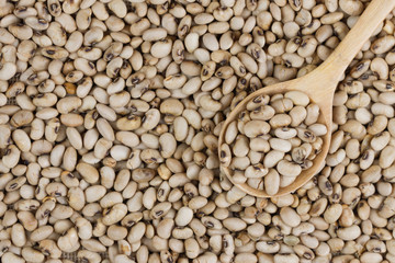 Top view of bean on spoon