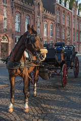 Fototapeta na wymiar A beautiful brown horse hitched to a four wheel horse carriage is one of the main tourist attractions in the medieval-looking city of Bruges (Brugge), Belgium
