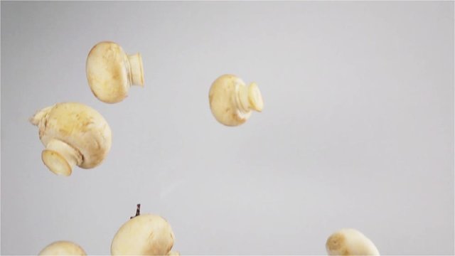 Champignons in the Kitchen. Button mushrooms thrown up on a white background hang in the air. Filmed at a speed of 480fps