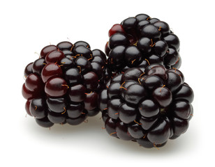 Blackberries