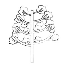 tree plant autumn icon vector illustration design