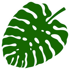 Monstera leaf. Vector illustration.