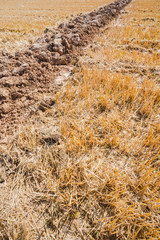 Lone furrow on an autumnal stubble field