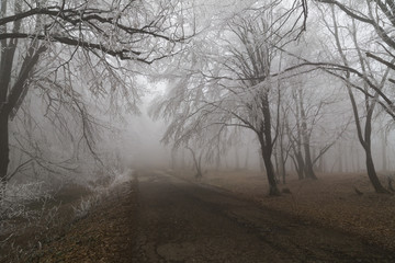 spooky road