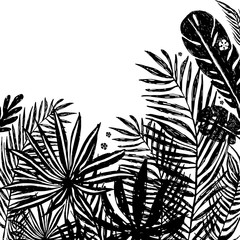 background with Black silhouettes of tropical plants and leaves . Vector botanical illustration, elements for design.