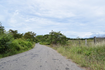 Un camino en el campo