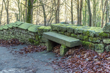 Steinerne Parkbank umgeben von Herbstlaub