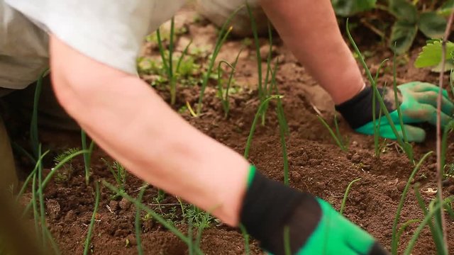 video weeding garden gloves rakes