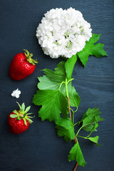 Ripe strawberries and white flowers