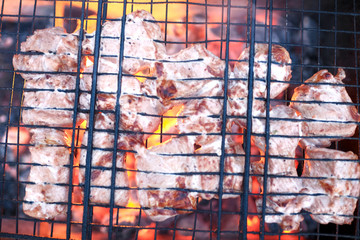 Shish kebab on the grill