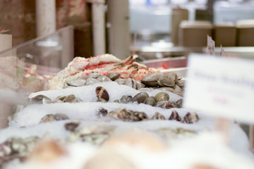 Oysters and shellfish on ice